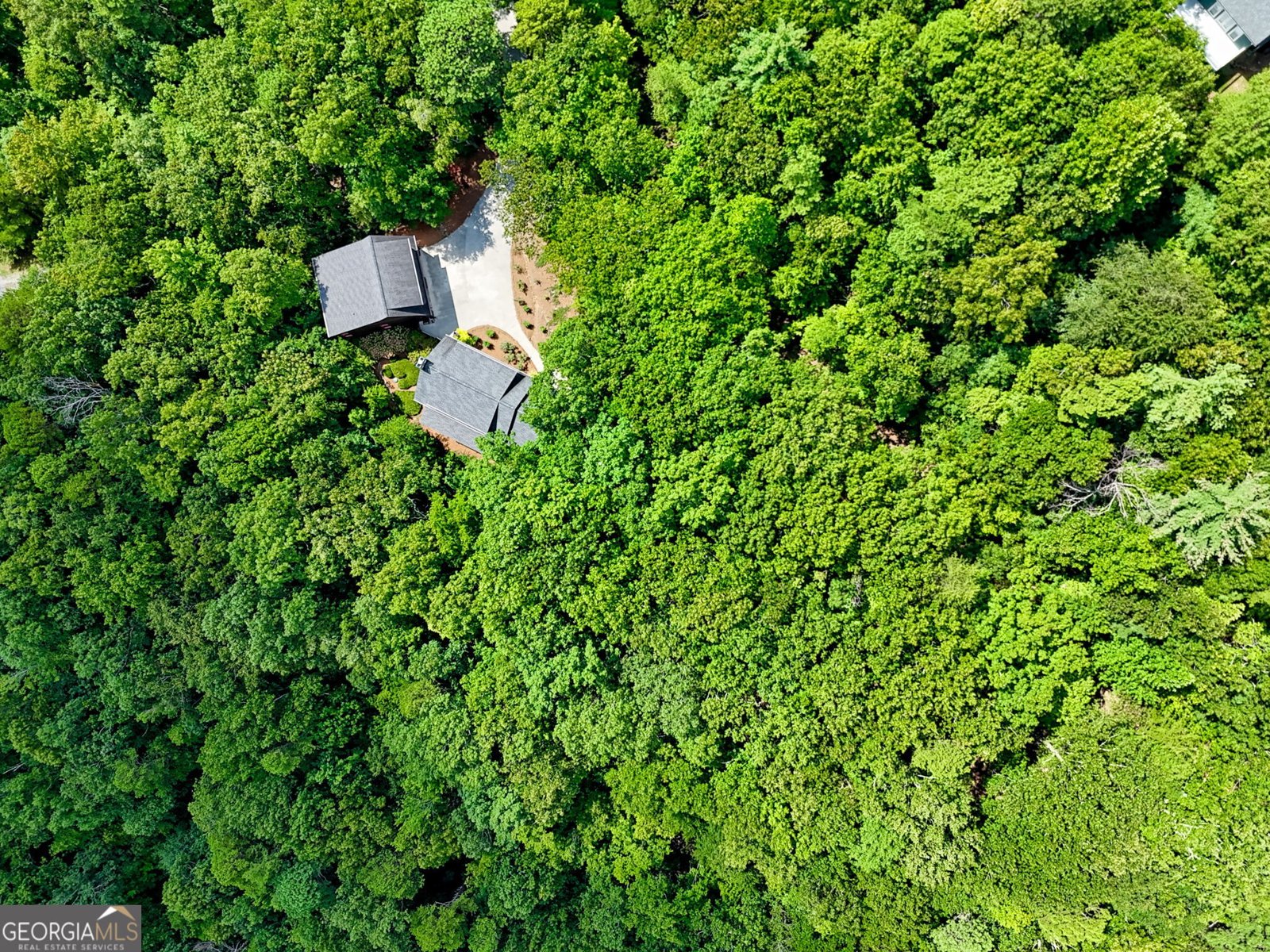 198 Clear View Trail Lakemont - 77