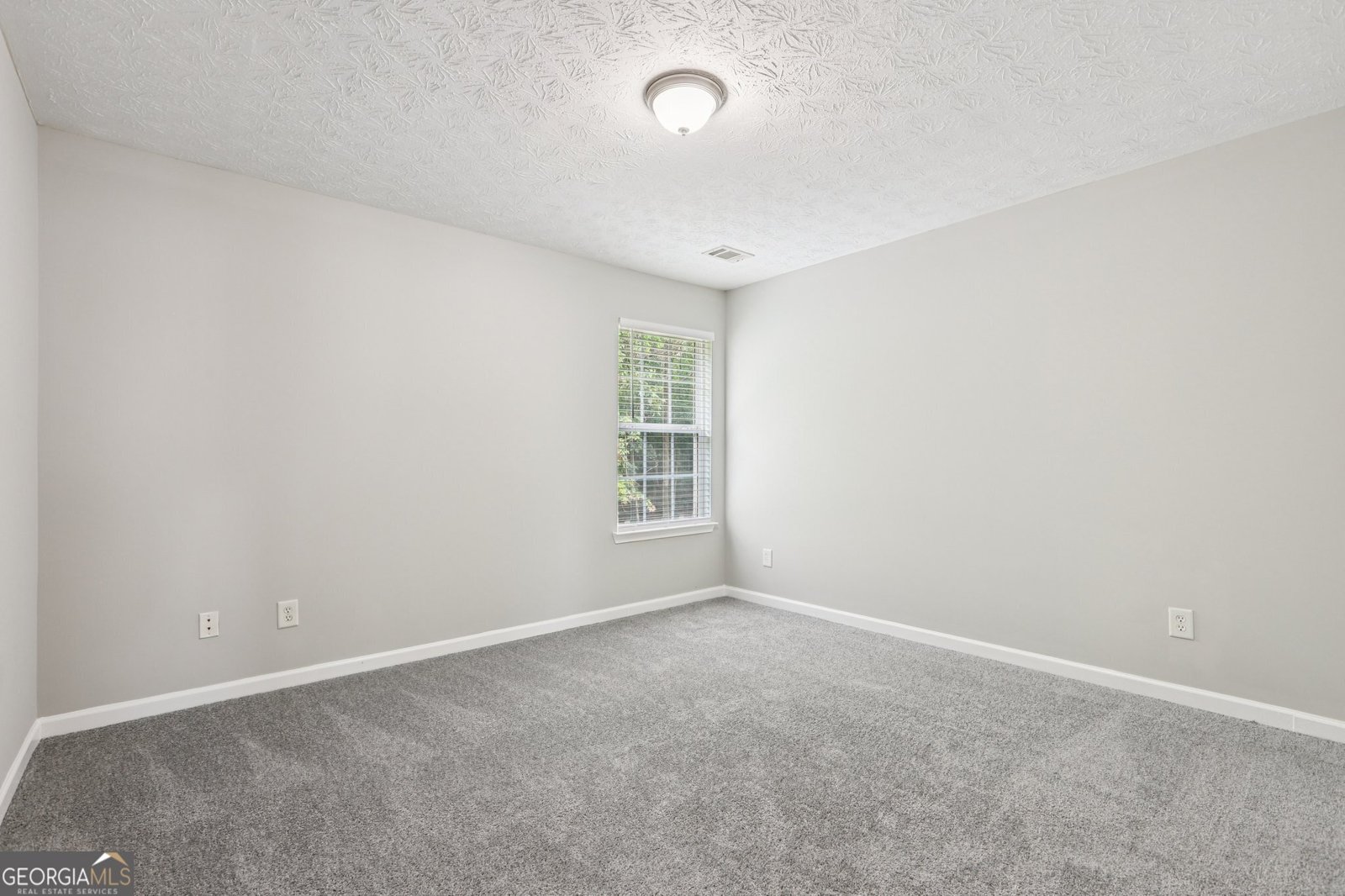 2243 Pine View Trail Ellenwood - 22