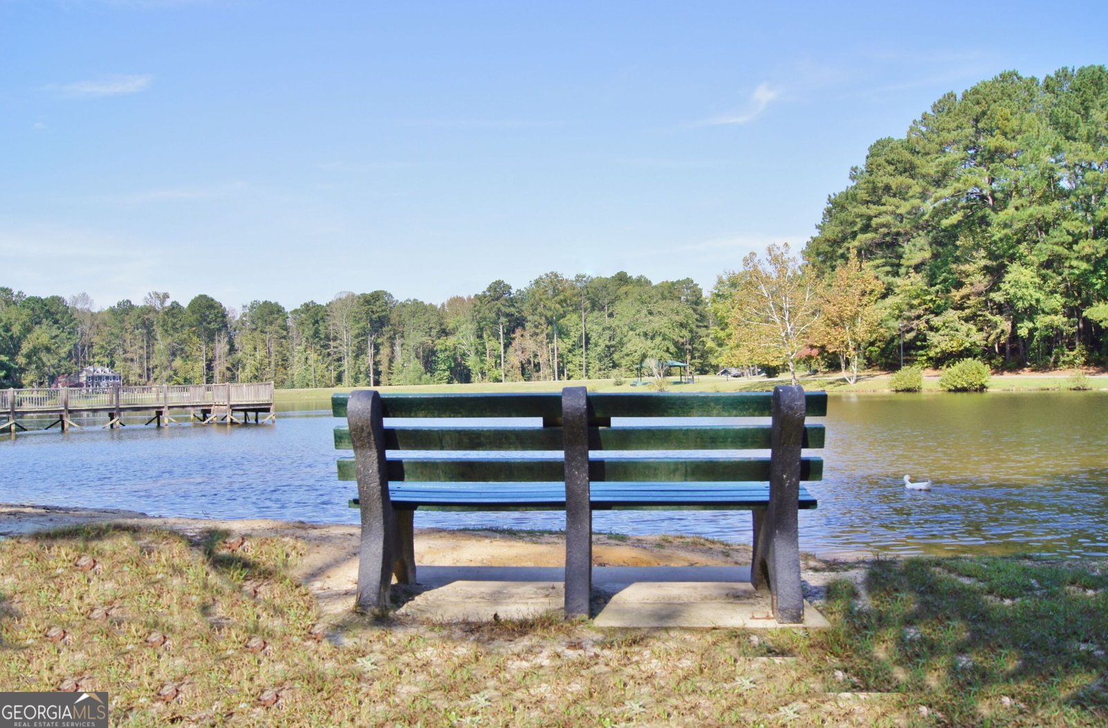 406 Doubletrace Lane Peachtree City - 63