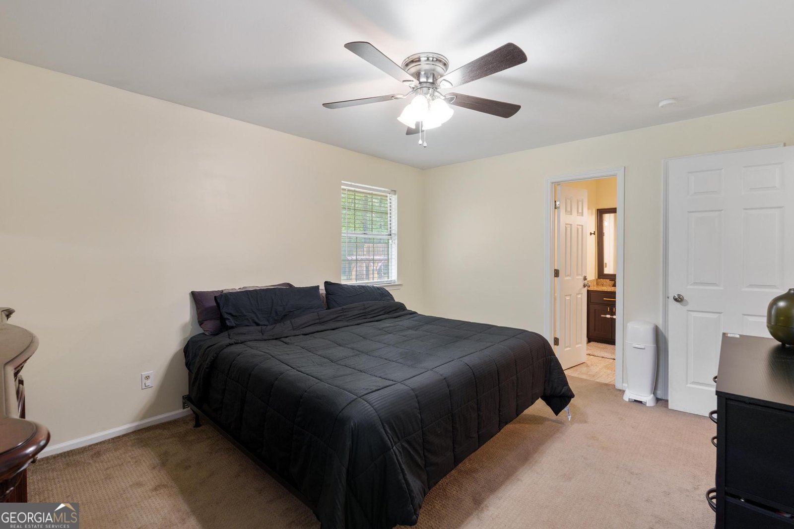 125 Steeplechase Drive Mcdonough - 21