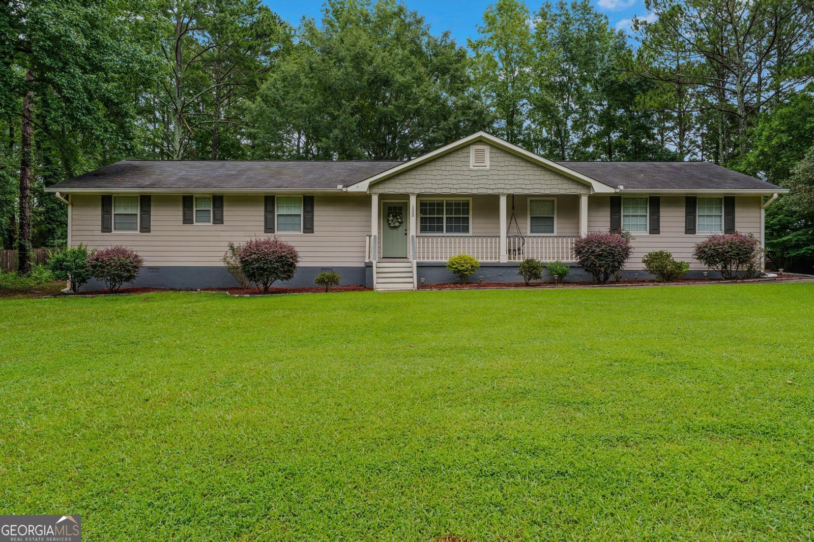 125 Steeplechase Drive Mcdonough - 34