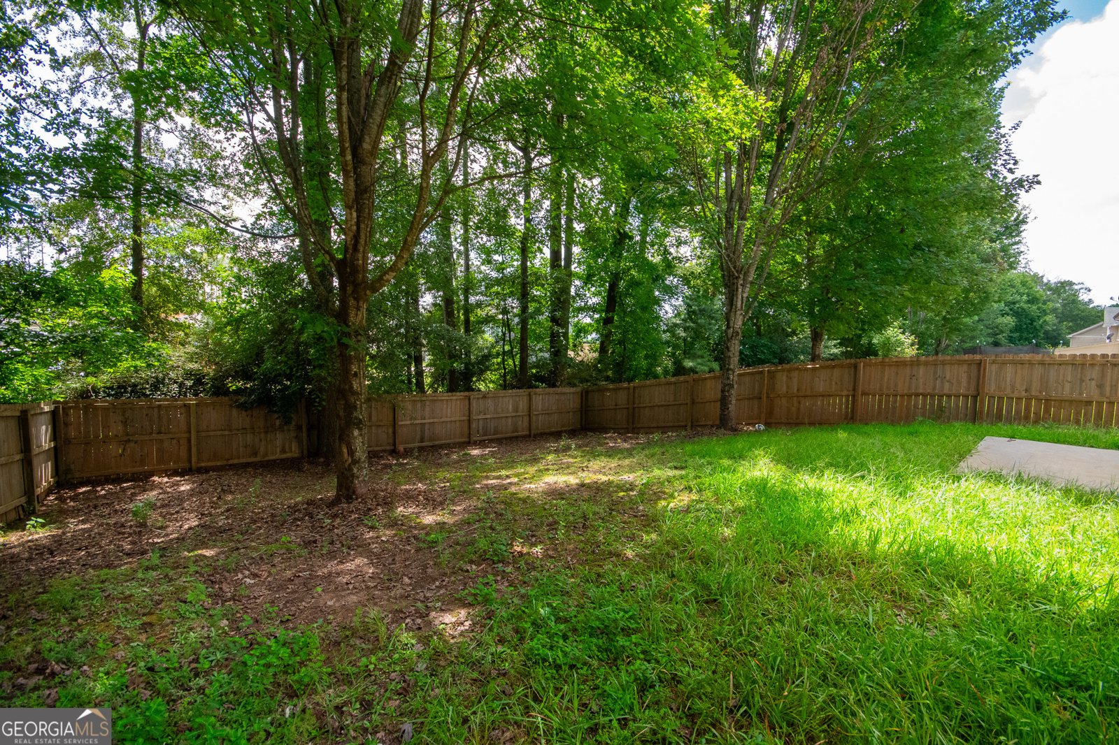 96 Torero Trail Newnan - 18