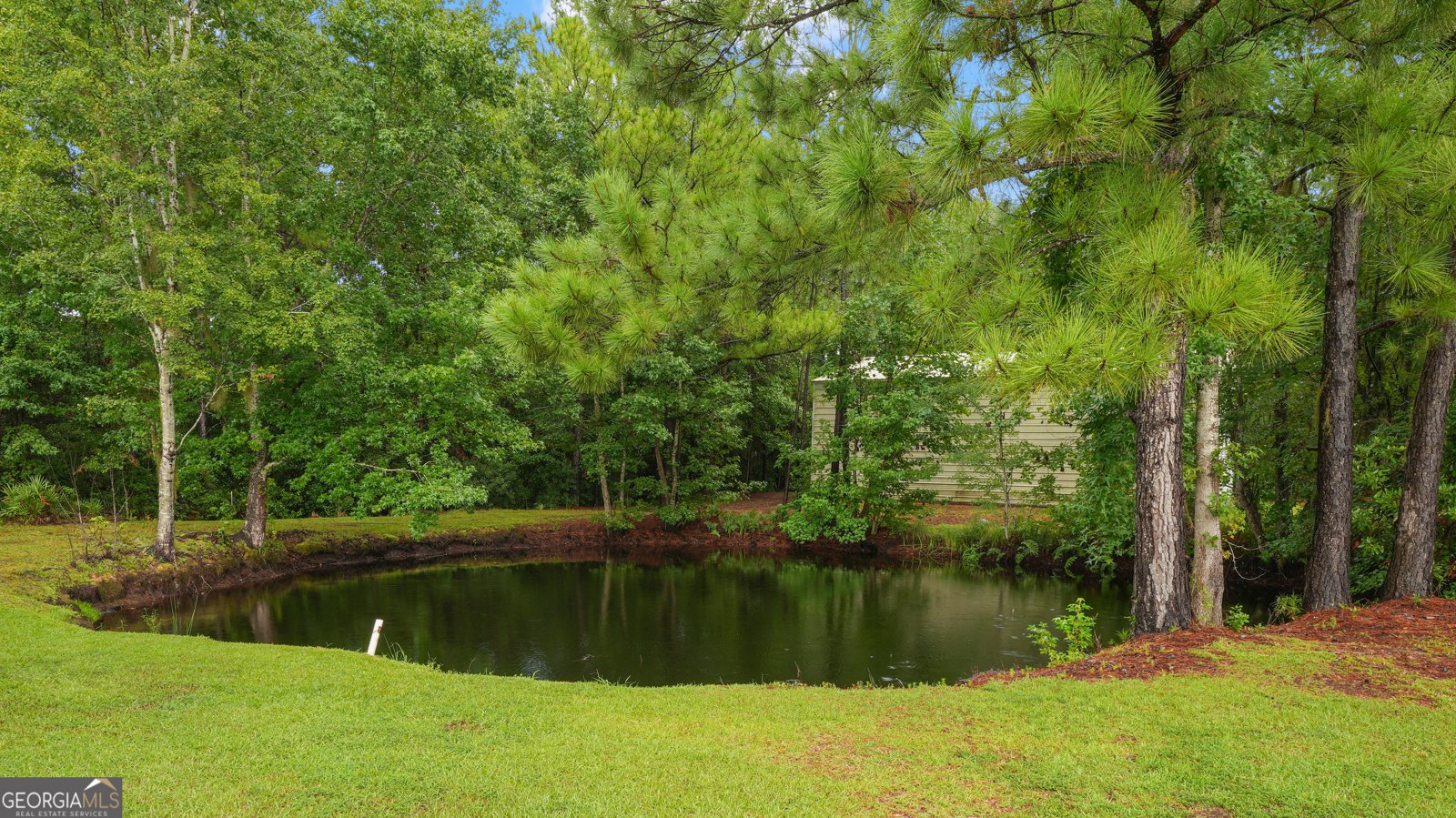 1234 Hg Miles Drive Townsend - 32