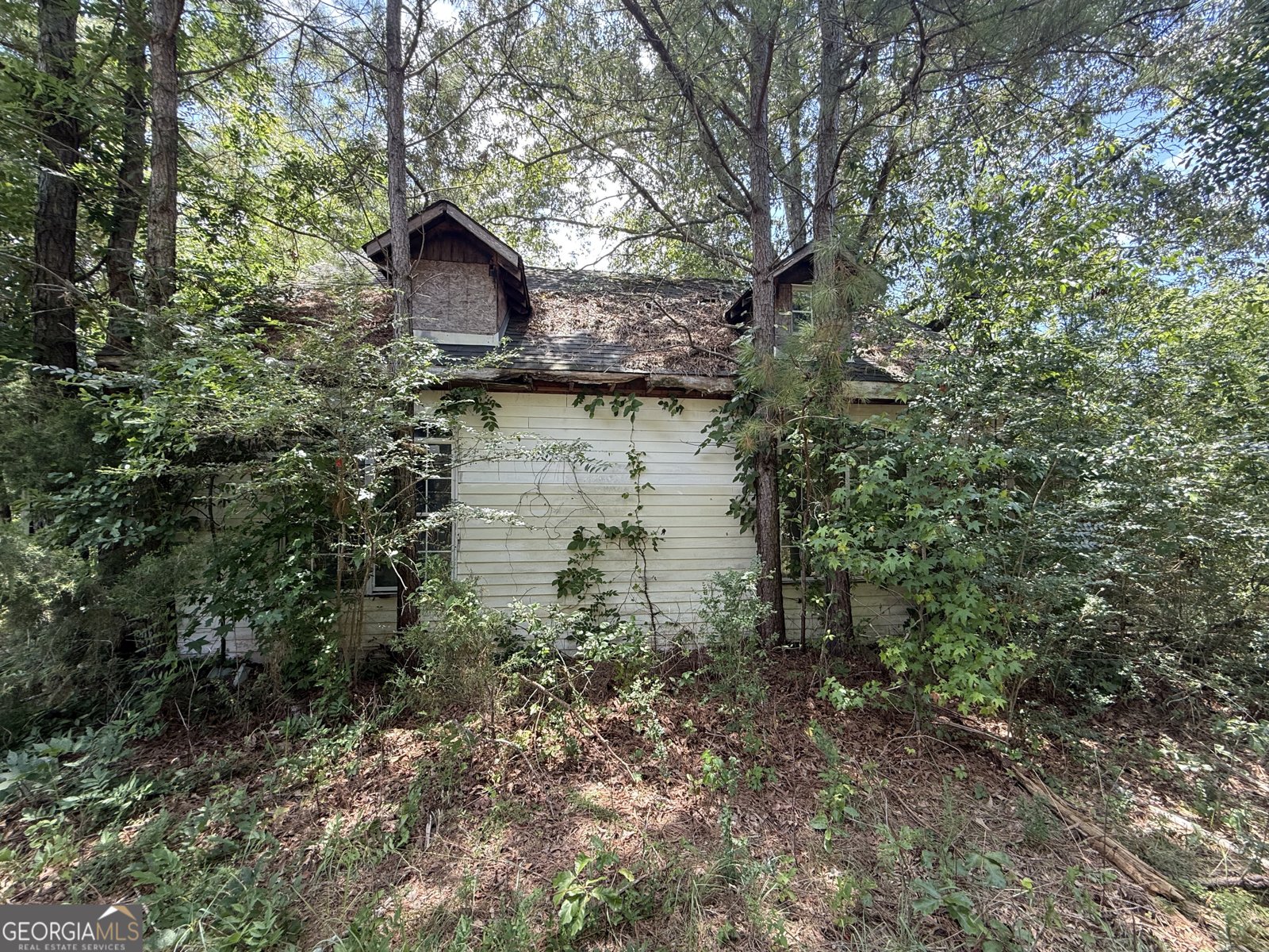 1238 Winns Lake Road Comer - 3