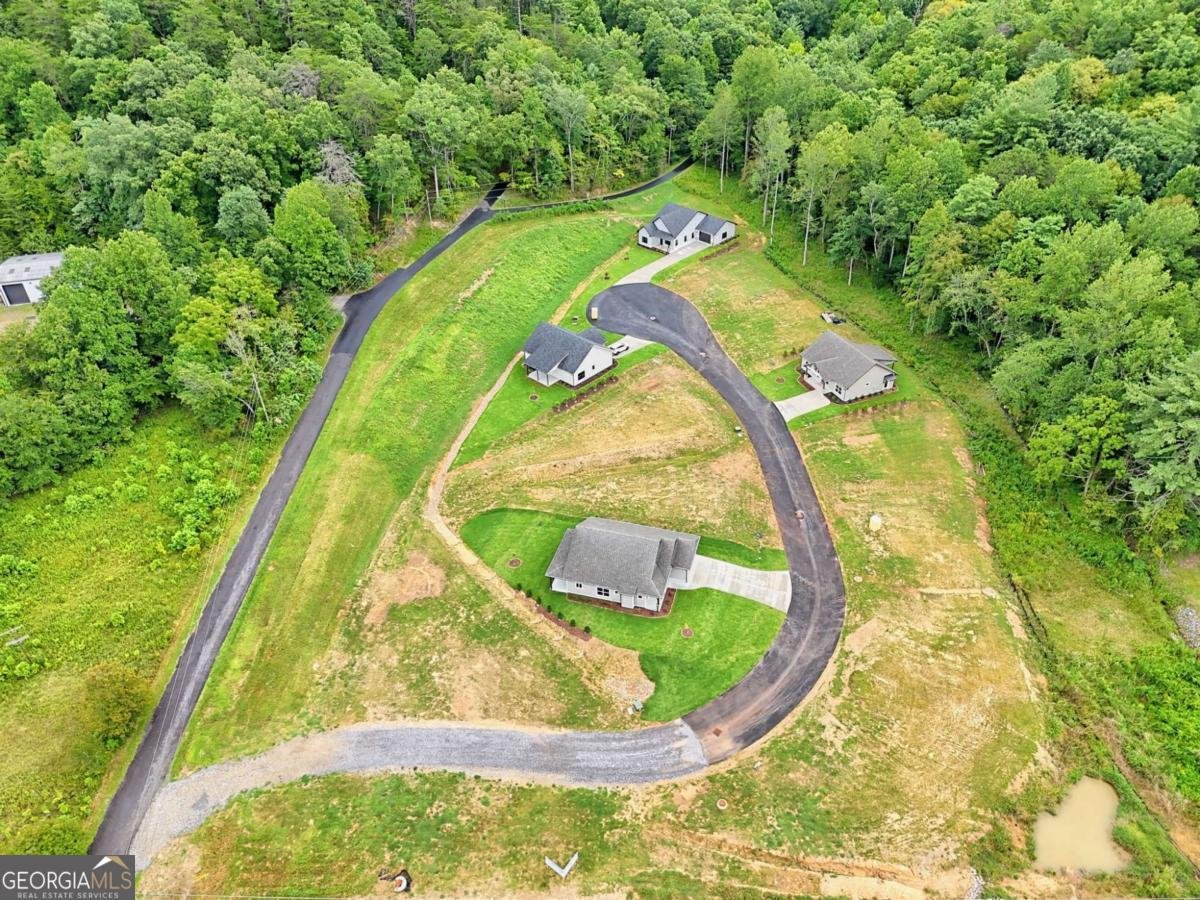 61 McTyeire Drive Young Harris - 22