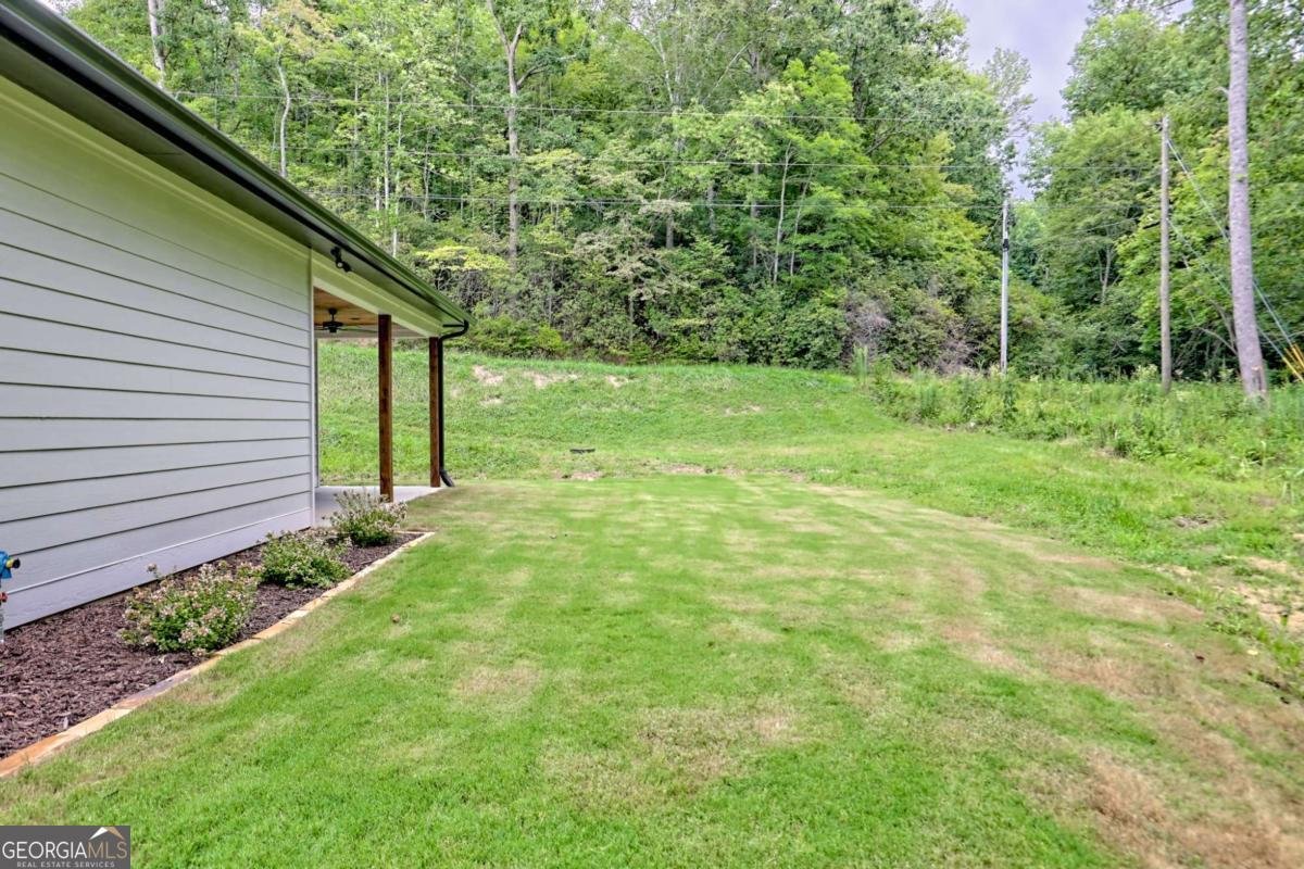 92 Mctyeire Drive Young Harris - 58