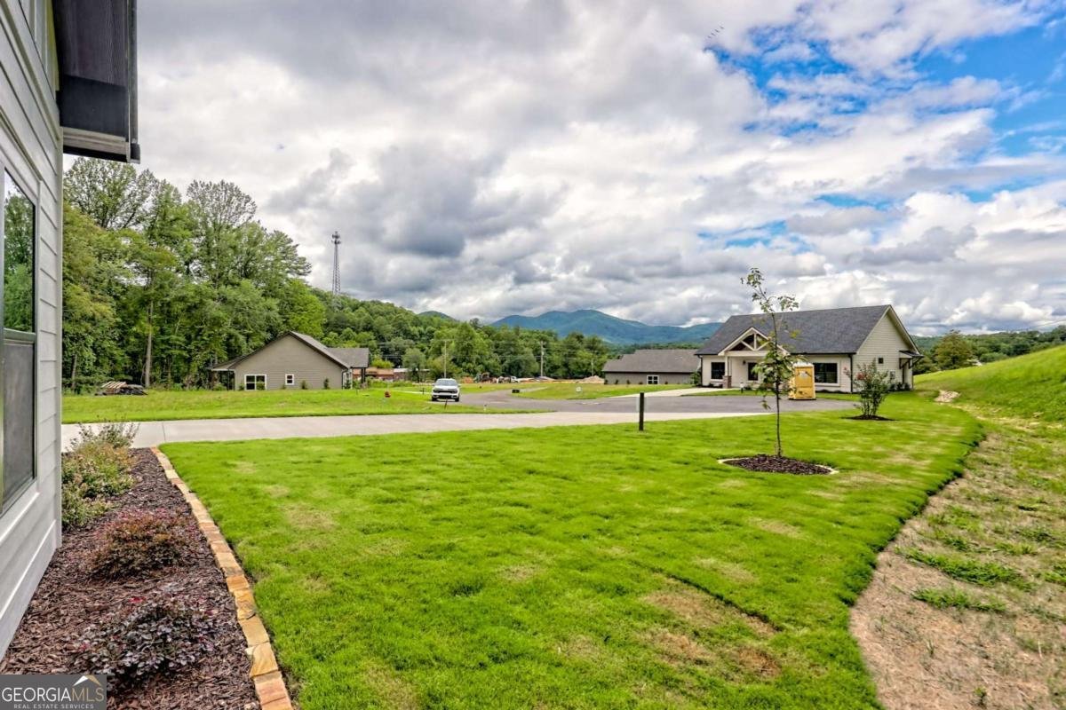 92 Mctyeire Drive Young Harris - 59
