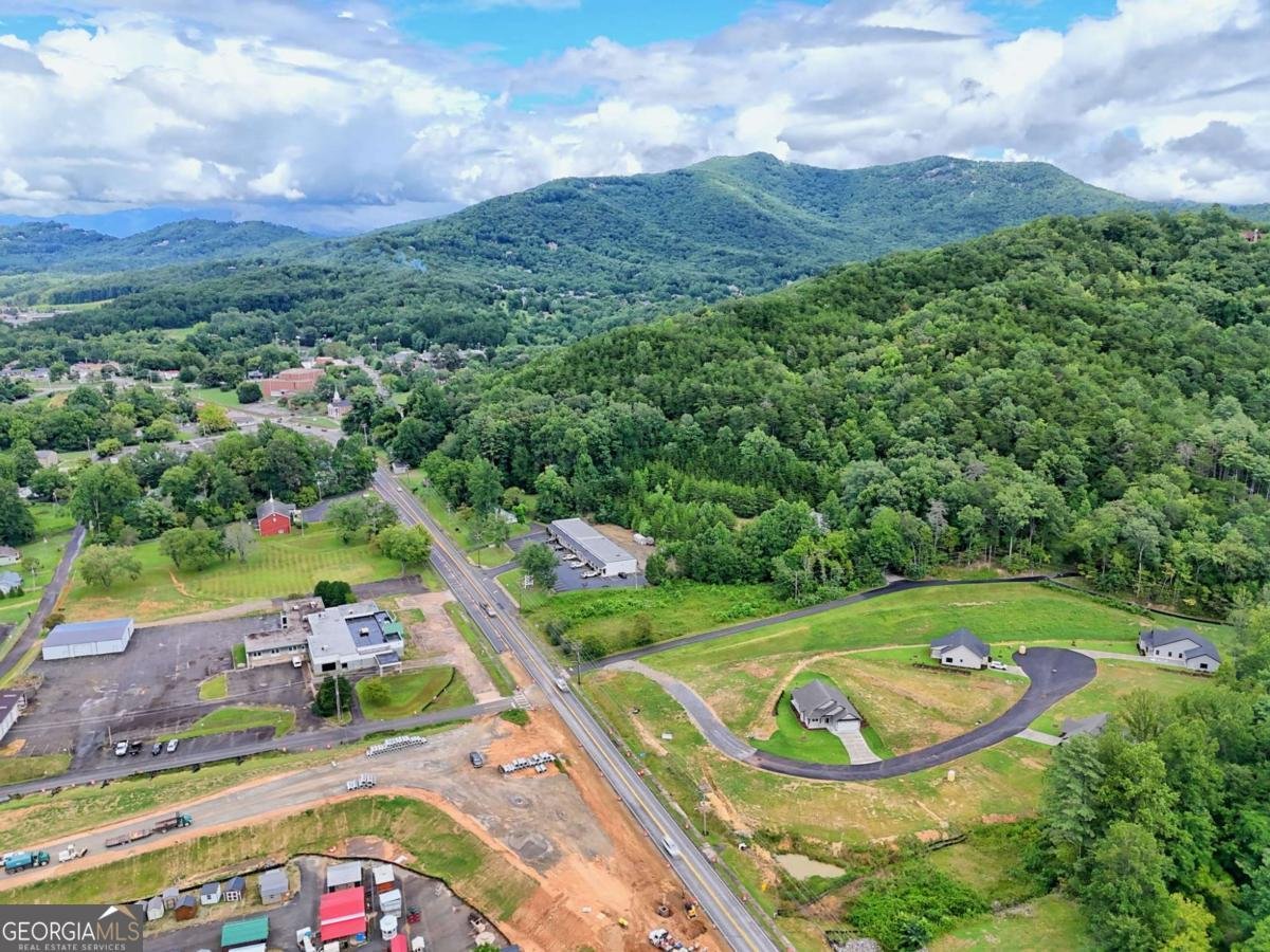 35 McTyeire Drive Young Harris - 64