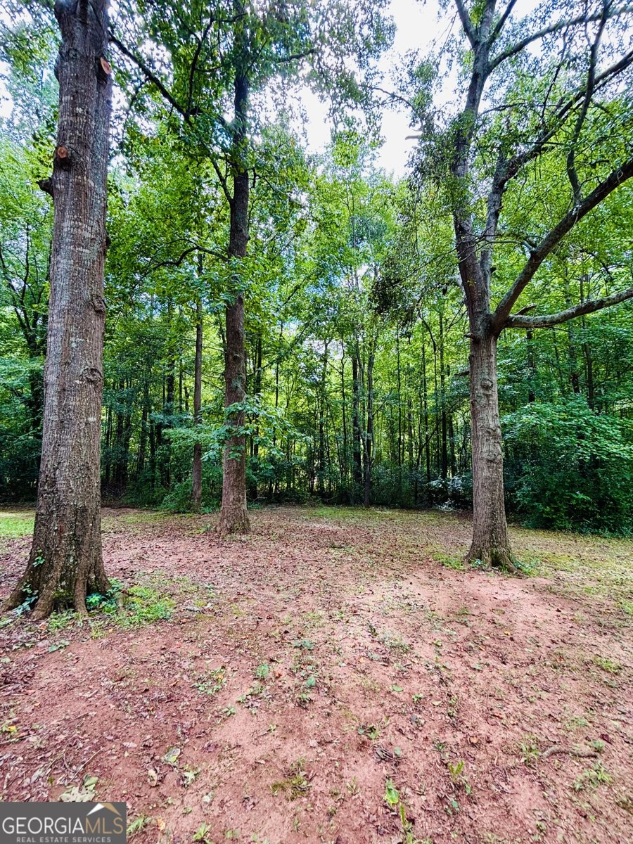 315 Woodridge Circle Athens - 14