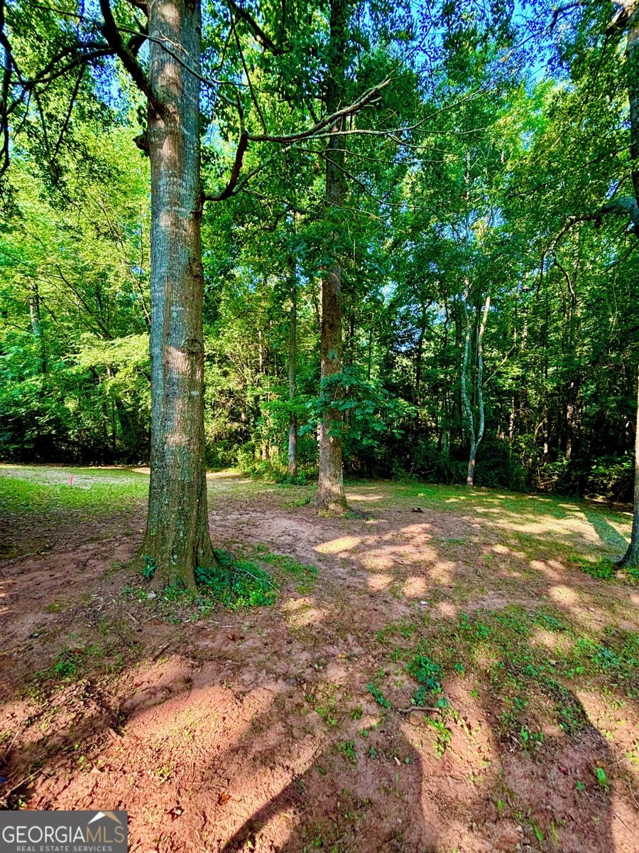 315 Woodridge Circle Athens - 15