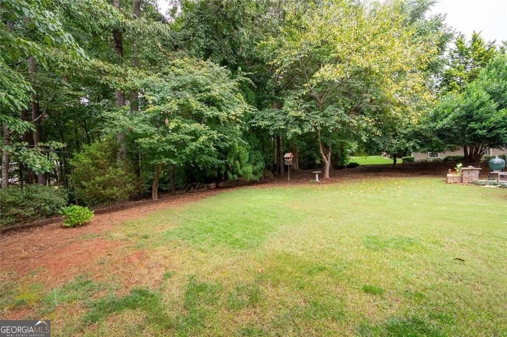 309 Bentonville Lane Douglasville - 7