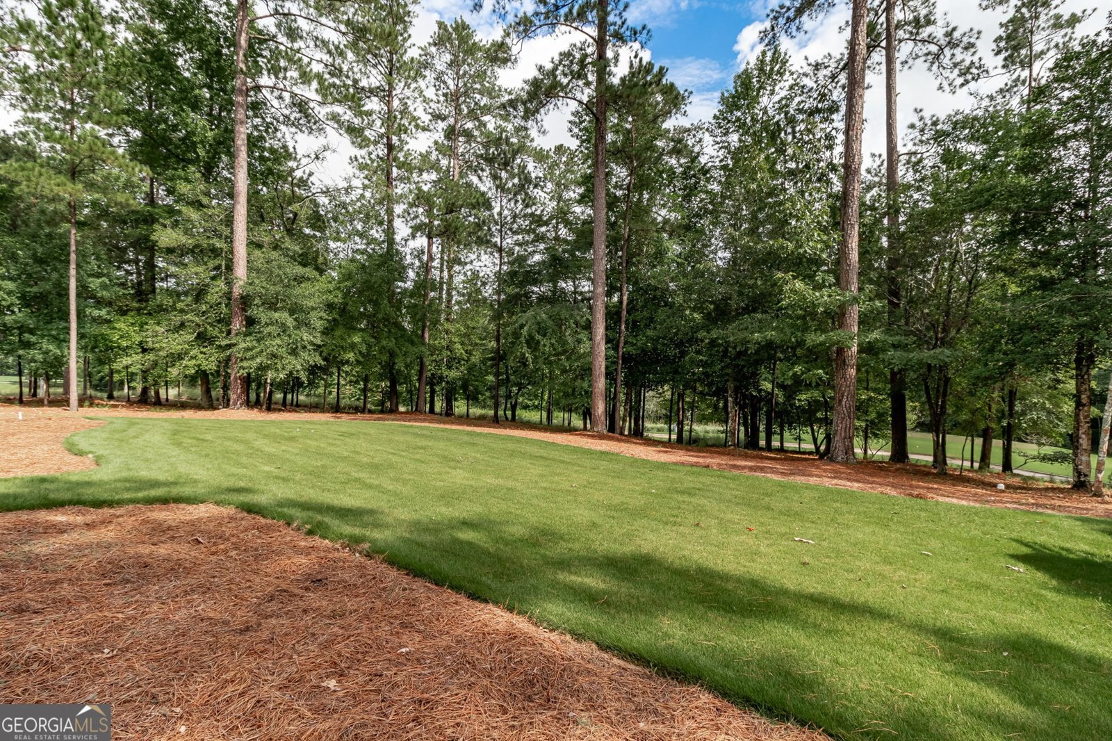 1814 Champions Circle Evans - 74