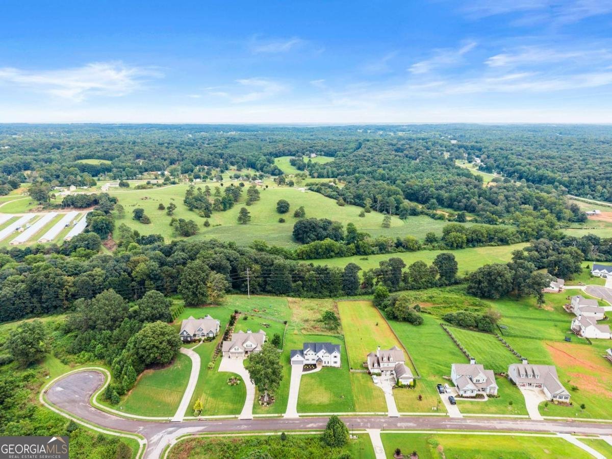 5746 Avalon Commons Way Clermont - 53