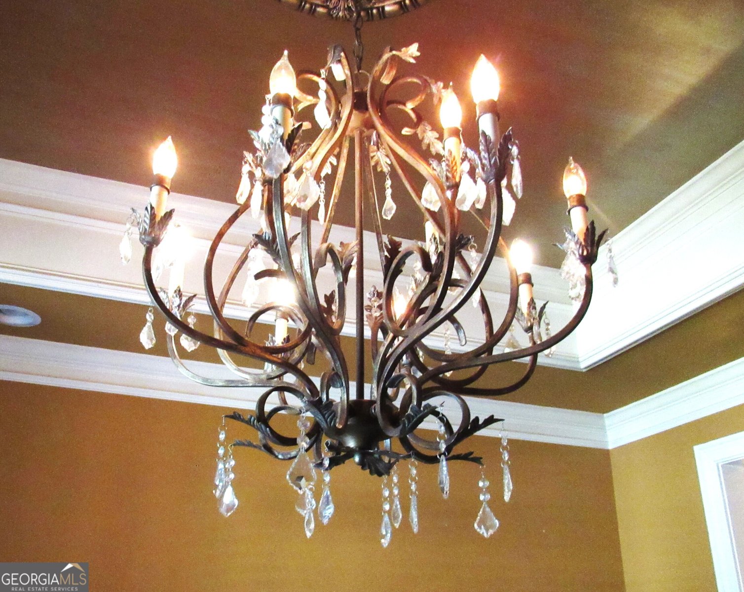 3013 Ember Court Albany - 18