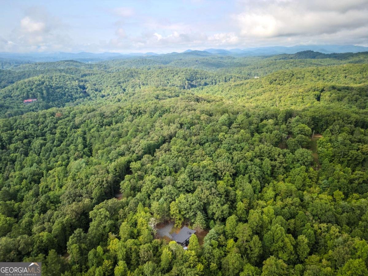 1421 Kelly Ridge Drive Blue Ridge - 25