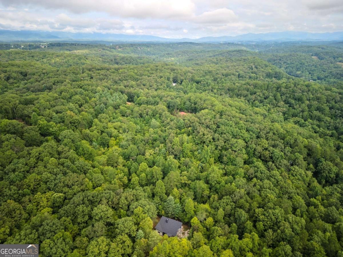 1421 Kelly Ridge Drive Blue Ridge - 26