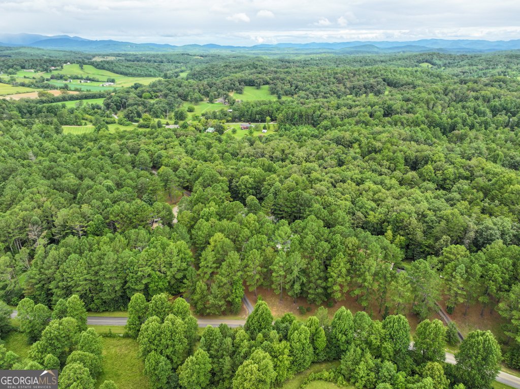 372 Havenwood Road Blairsville - 54