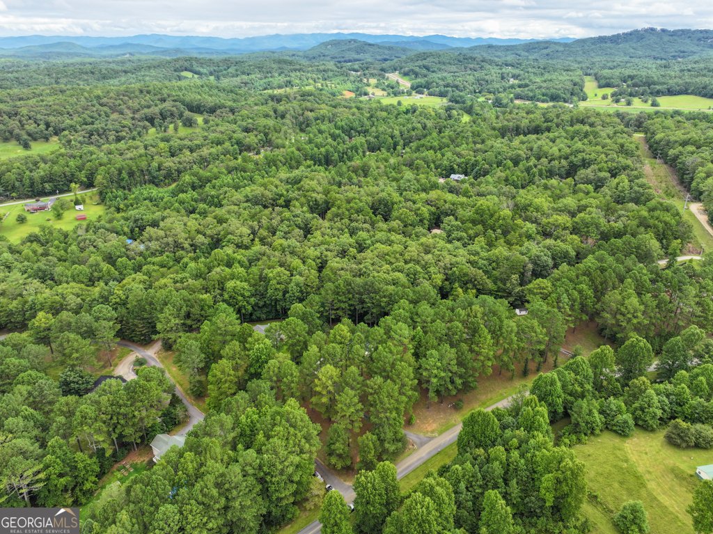 372 Havenwood Road Blairsville - 56