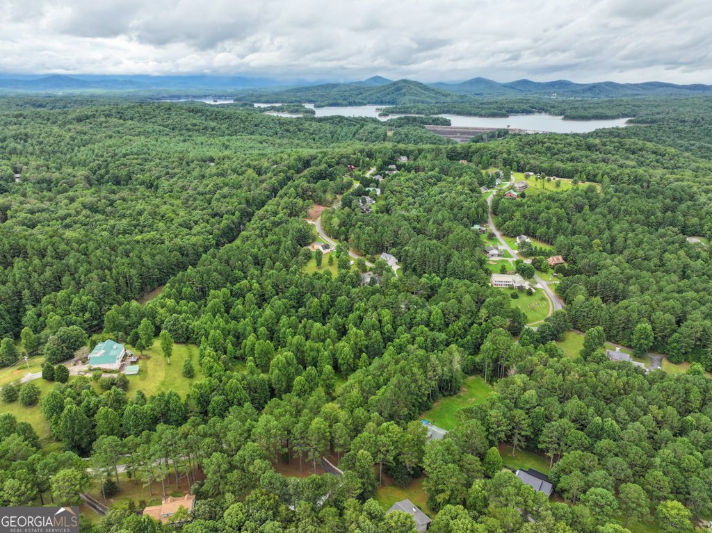 372 Havenwood Road Blairsville - 58