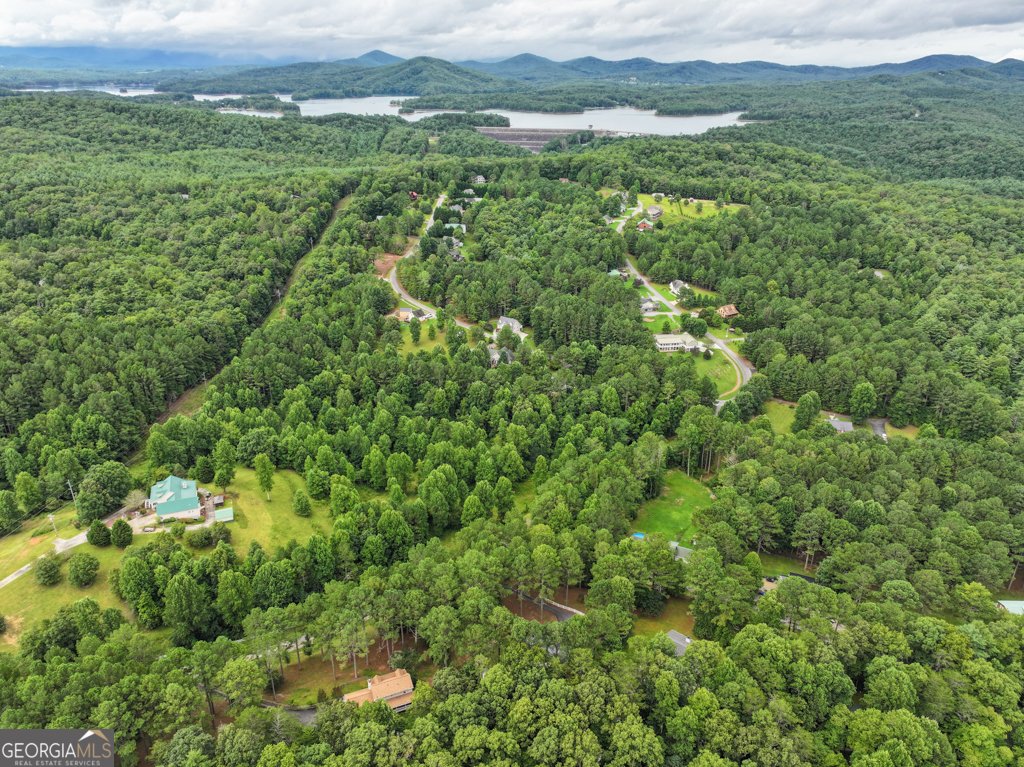 372 Havenwood Road Blairsville - 59