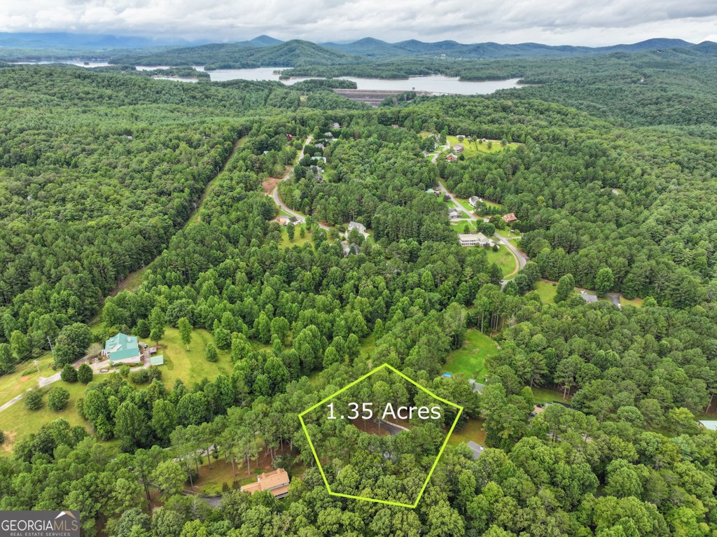 372 Havenwood Road Blairsville - 60