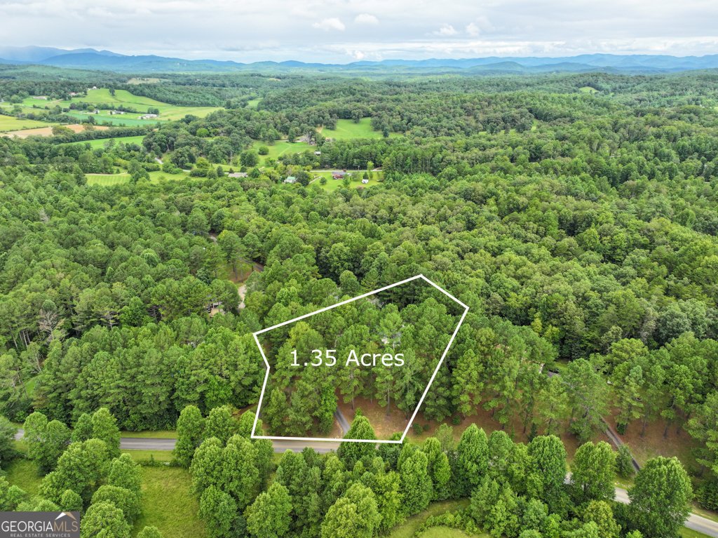 372 Havenwood Road Blairsville - 67