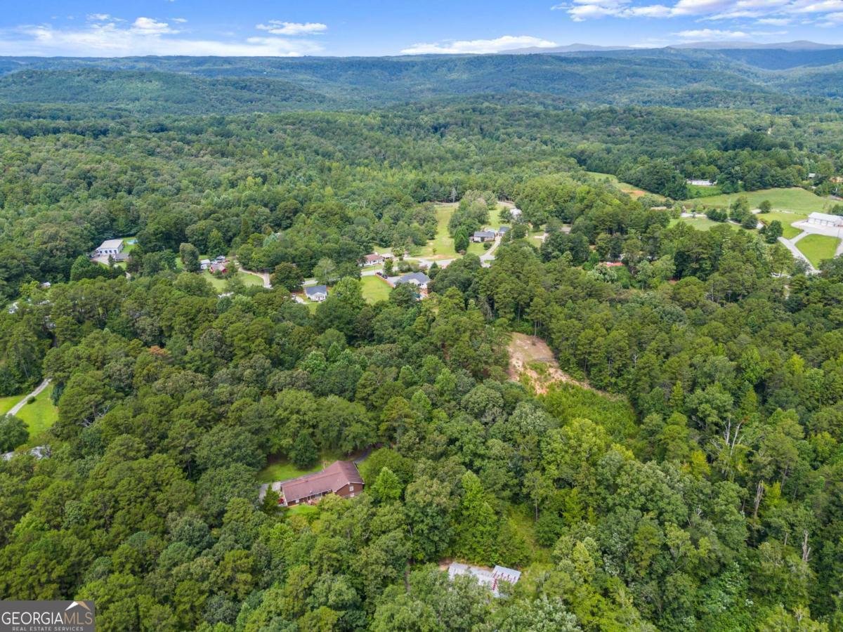 2110 Prather Bridge Drive Toccoa - 50