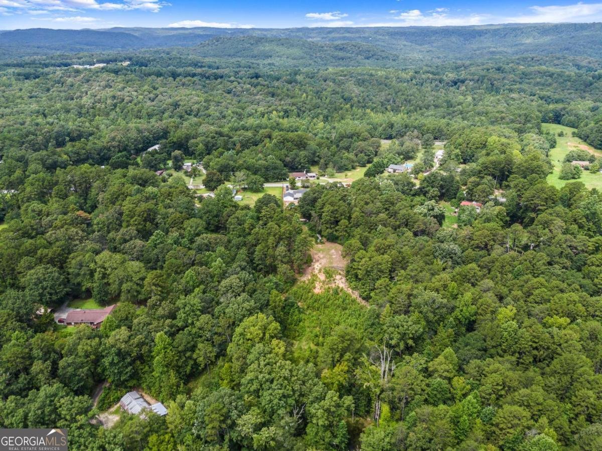 2110 Prather Bridge Drive Toccoa - 53