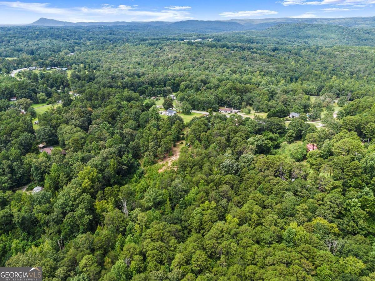 2110 Prather Bridge Drive Toccoa - 54