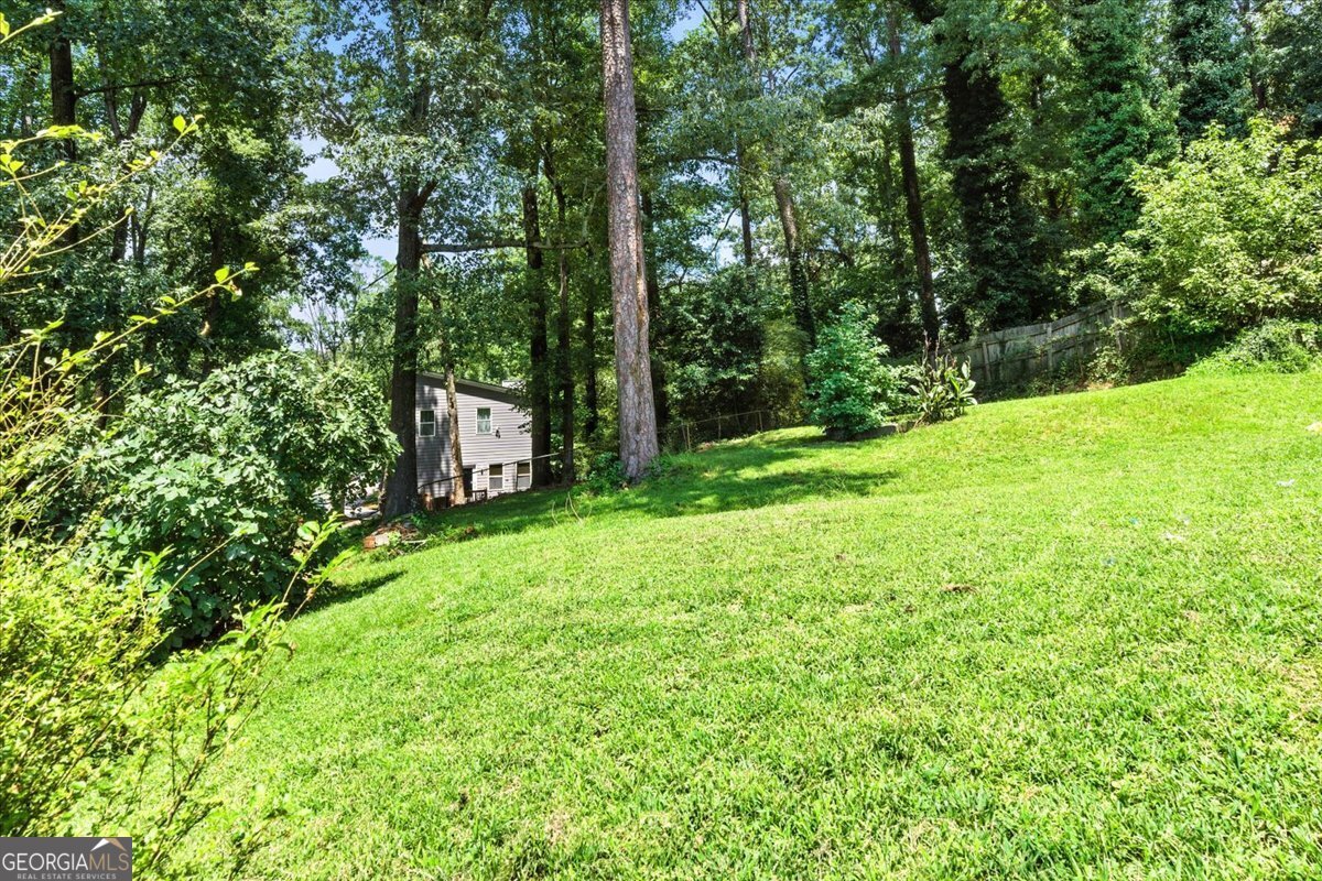 2052 Brannen Road Atlanta - 19