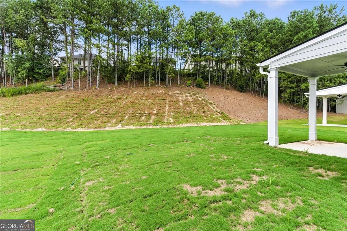 2693 Jordan Lane Lithia Springs - 10