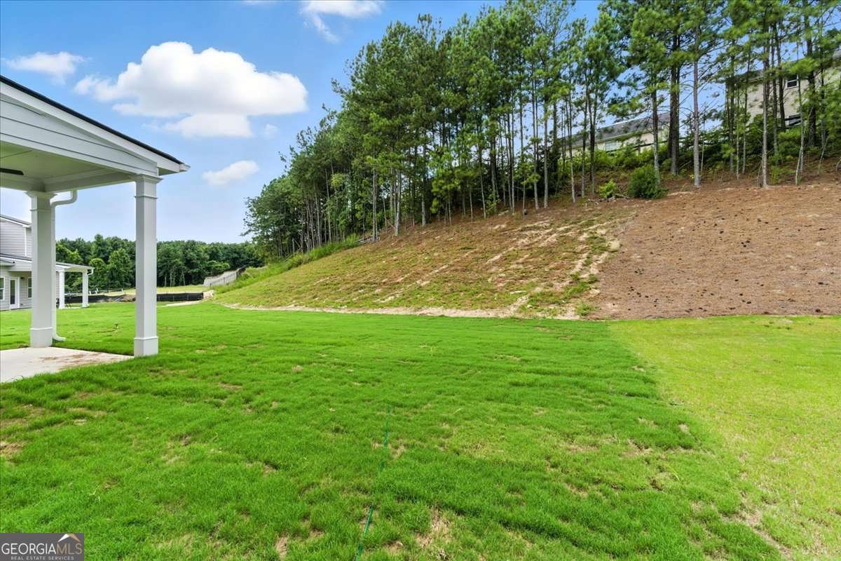 2693 Jordan Lane Lithia Springs - 11