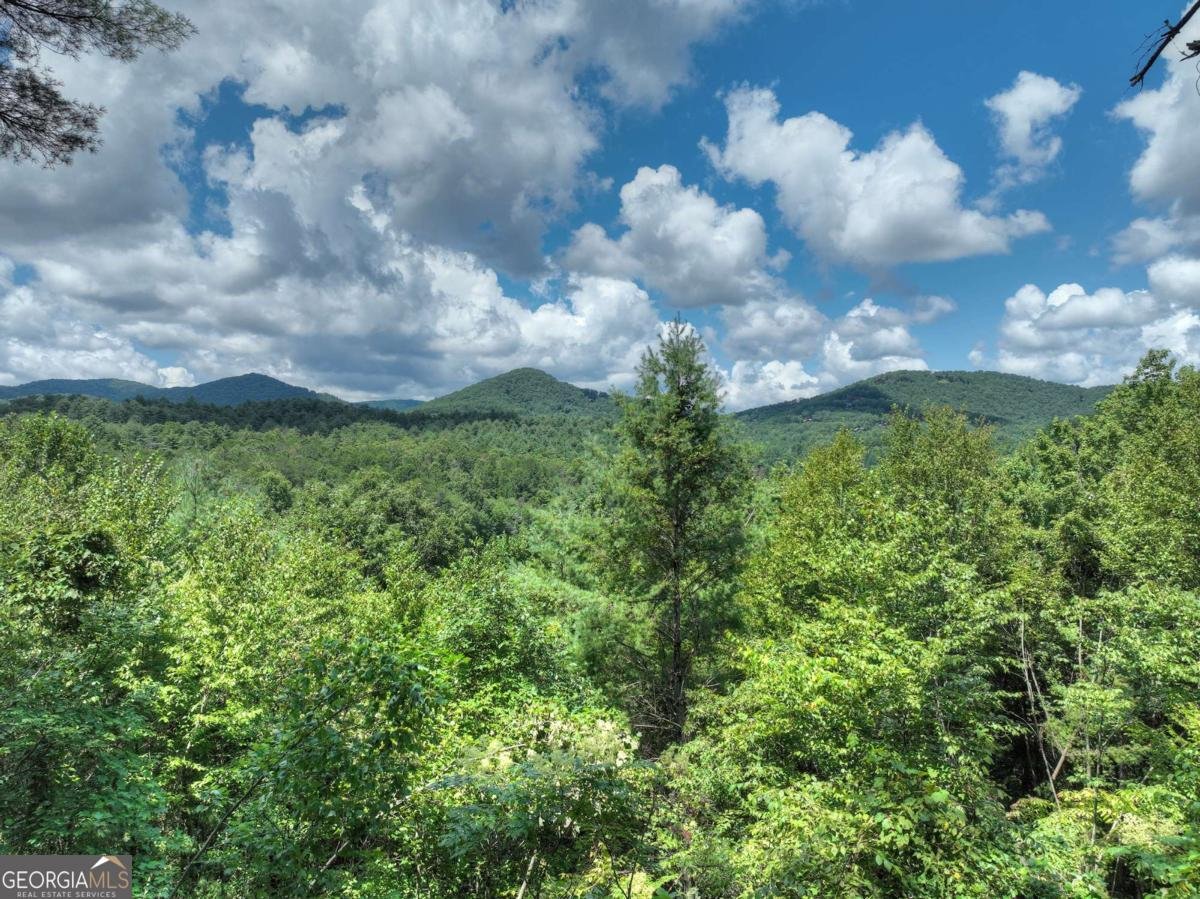 1056 Jolley Way Epworth - 5