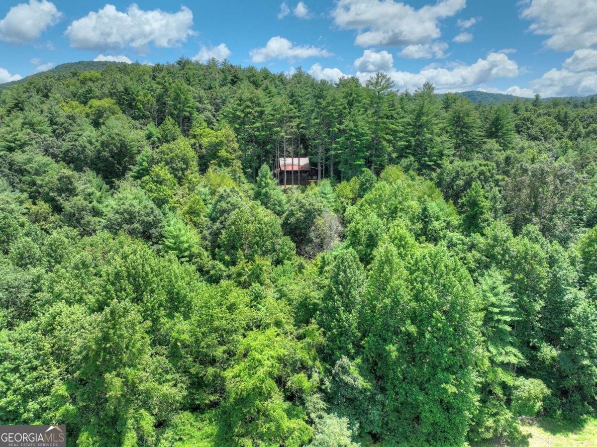 1056 Jolley Way Epworth - 8