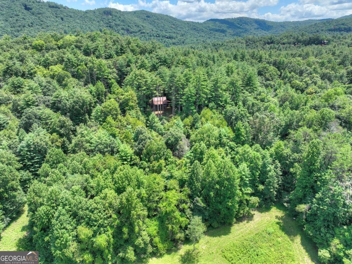 1056 Jolley Way Epworth - 9