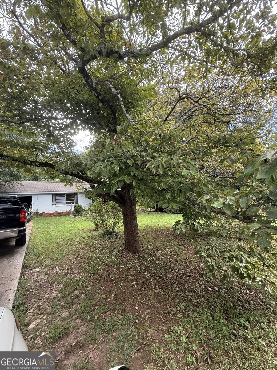 1812 Panola Road Lithonia - 3