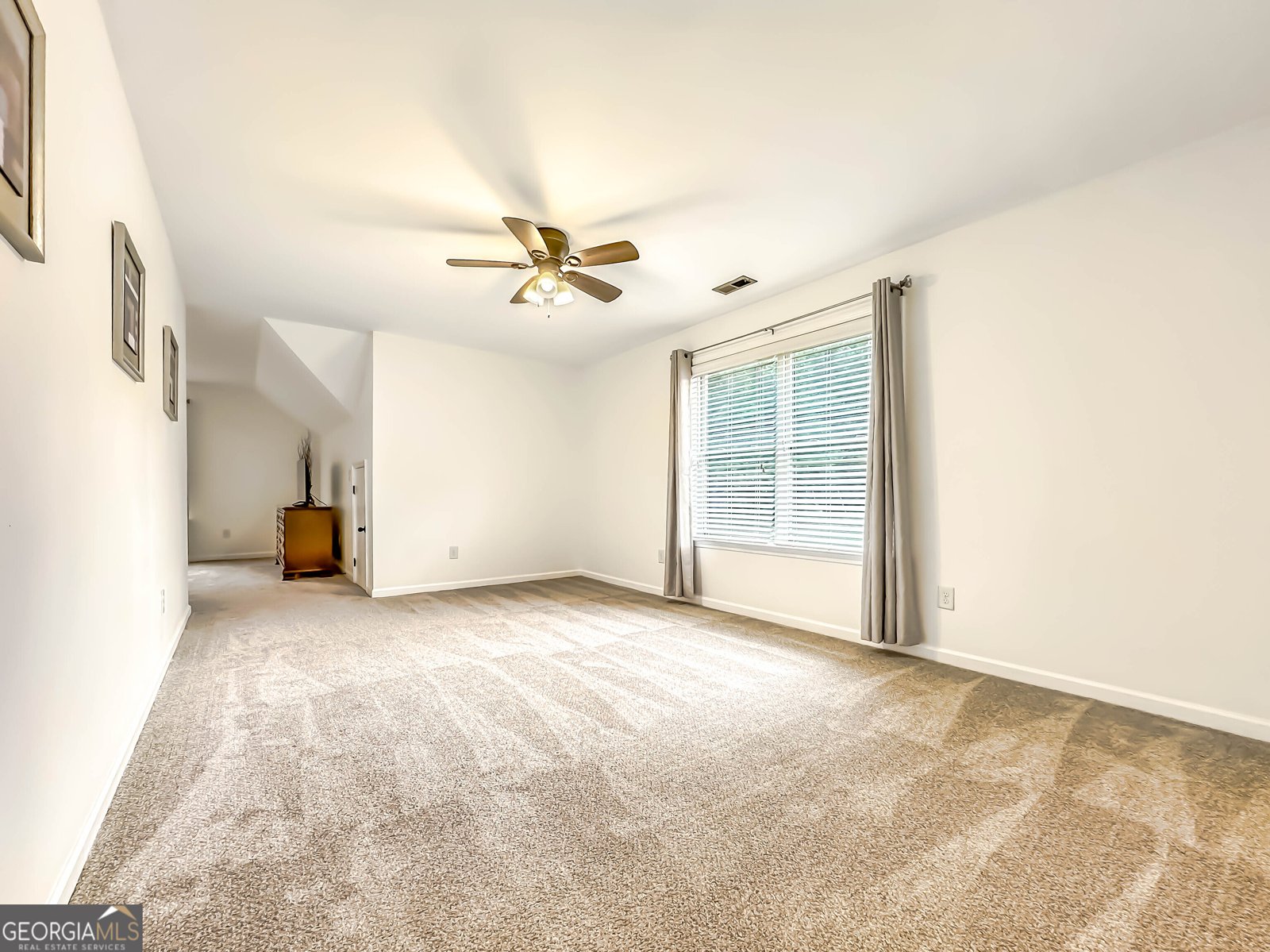 165 Teal Court Senoia - 27