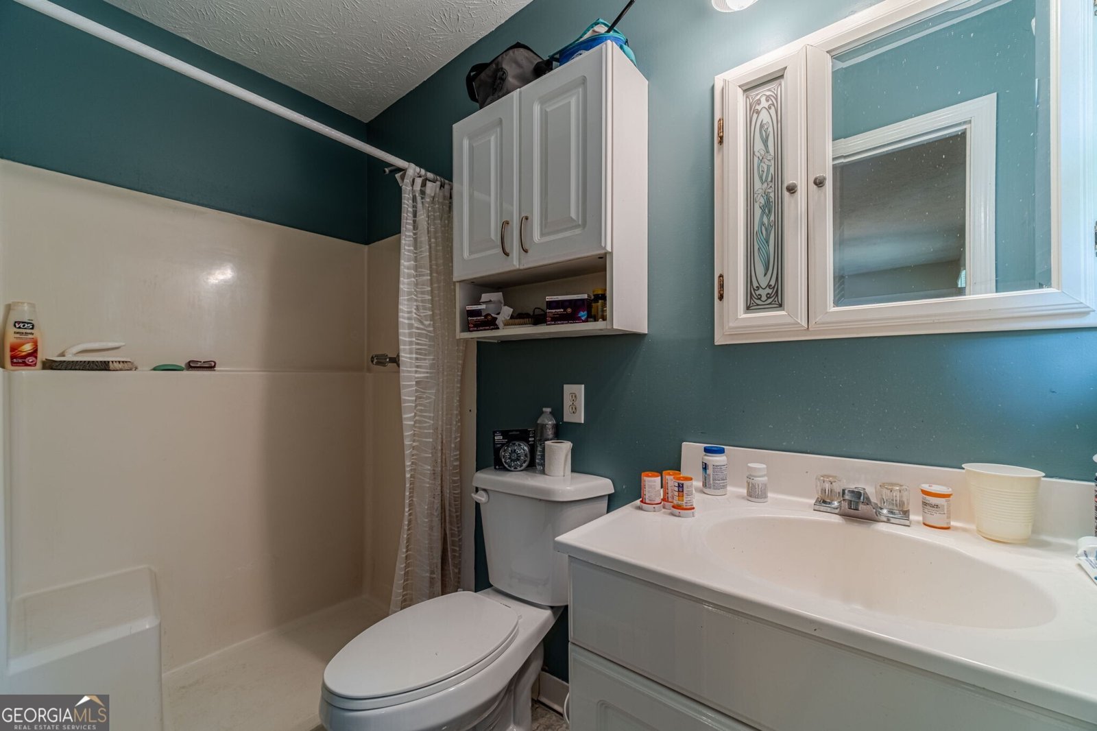 2737 Camp Mitchell Road Loganville - 24