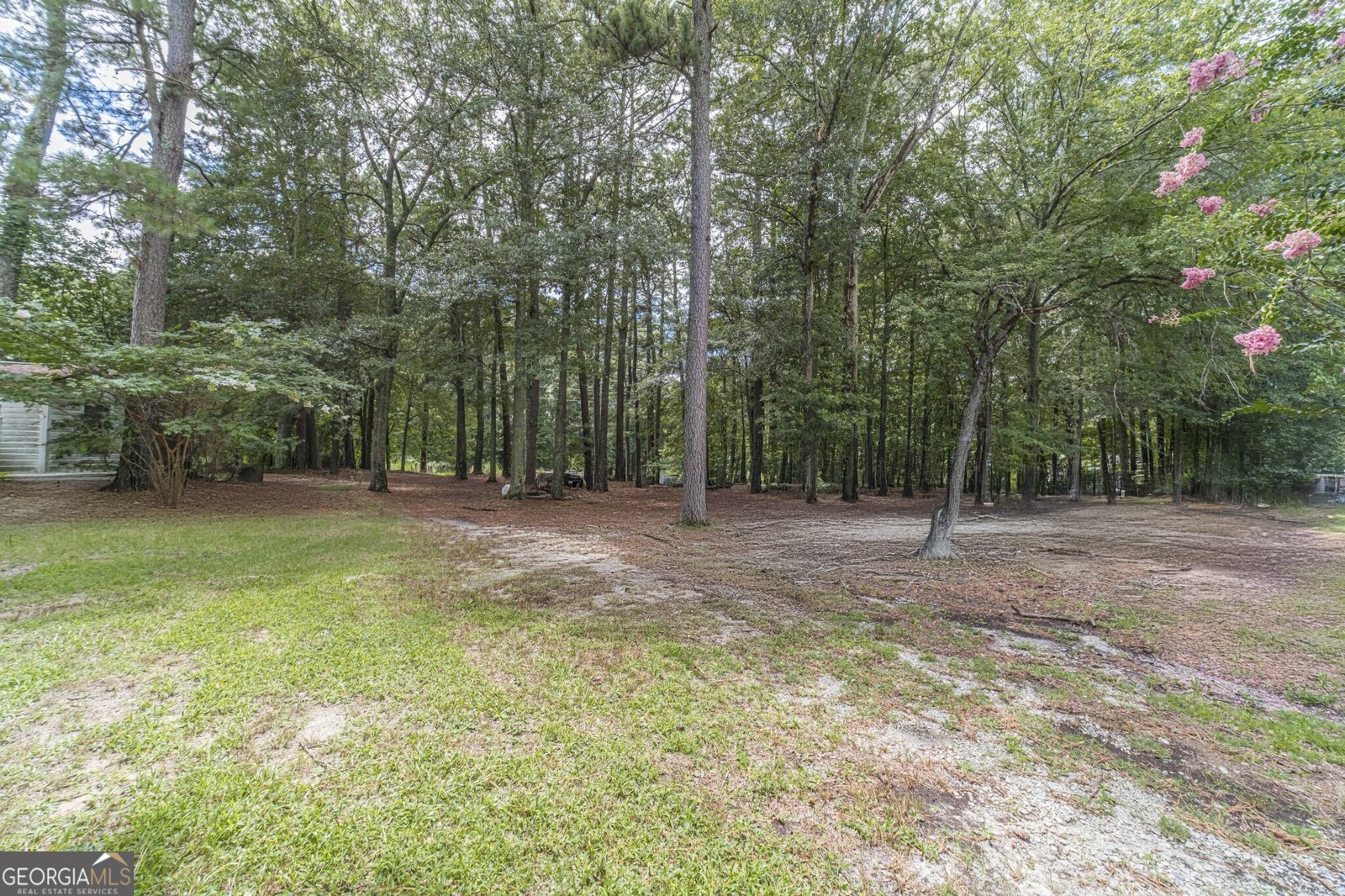 2737 Camp Mitchell Road Loganville - 3