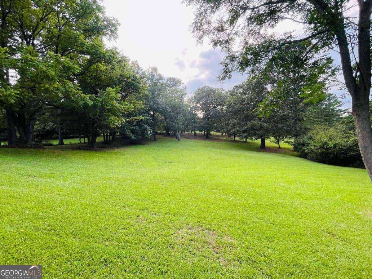 2303 Nancy Court Loganville - 24