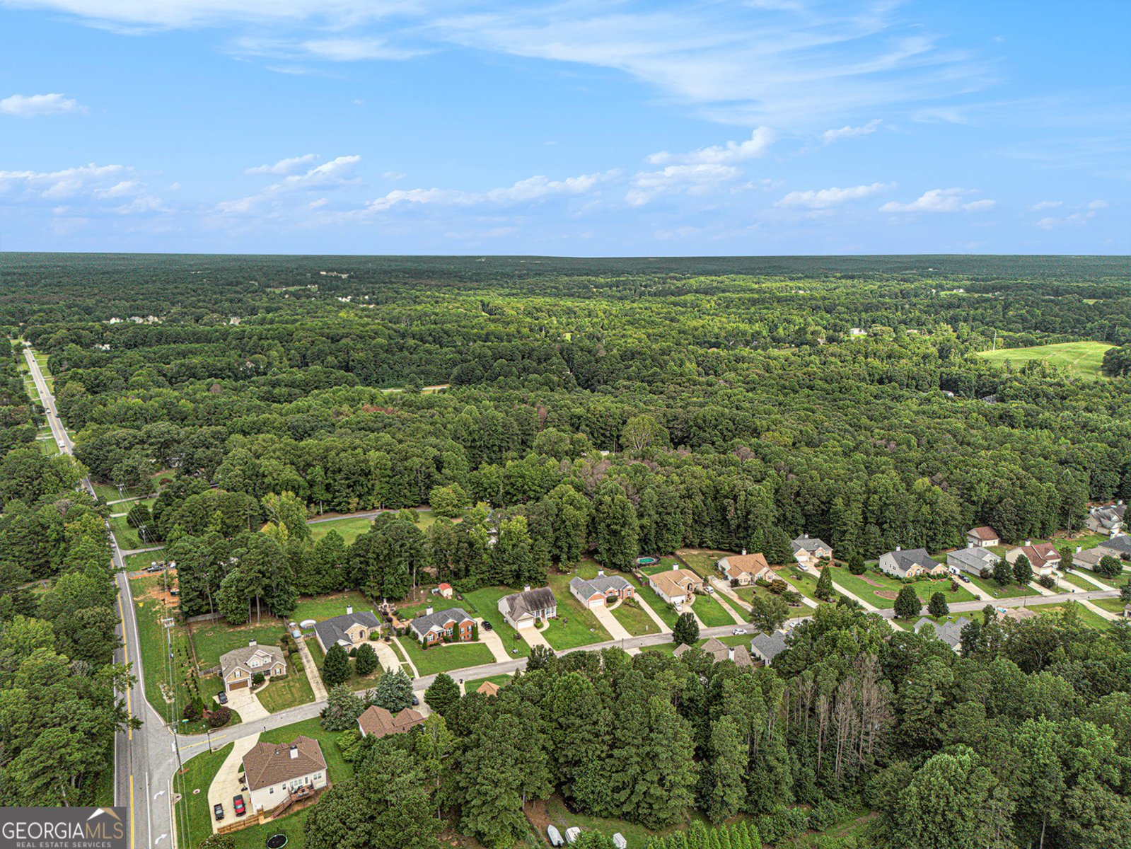93 WOODRIDGE Drive Douglasville - 19