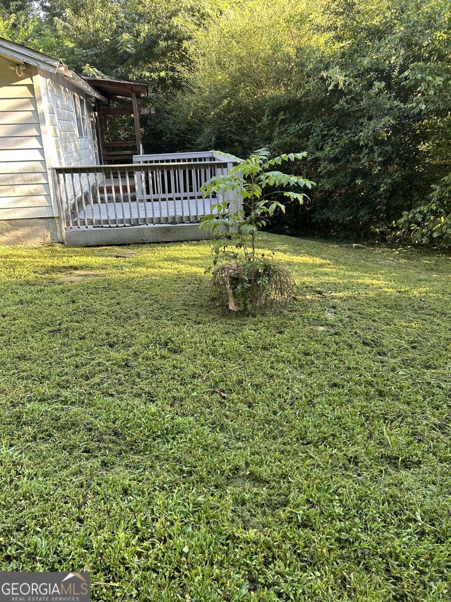 770 Mary Lane Marietta - 20