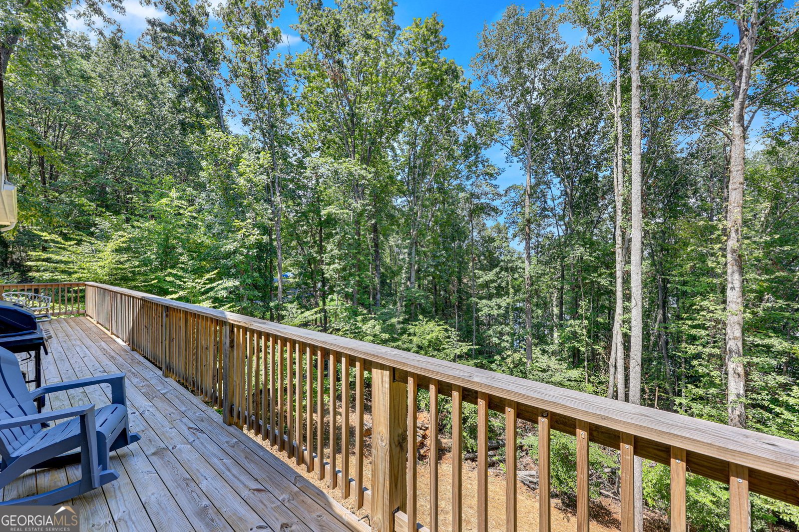 3114 Lake Ranch Drive Gainesville - 33