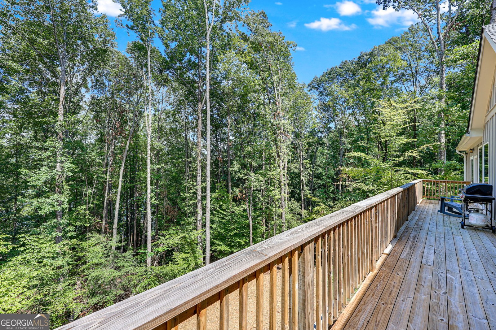 3114 Lake Ranch Drive Gainesville - 35