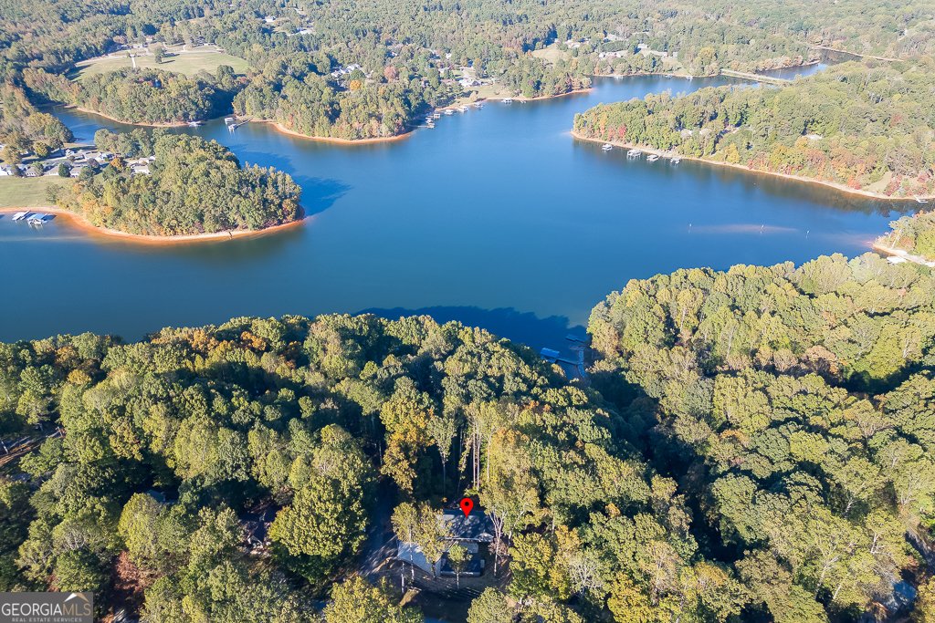 3114 Lake Ranch Drive Gainesville - 4