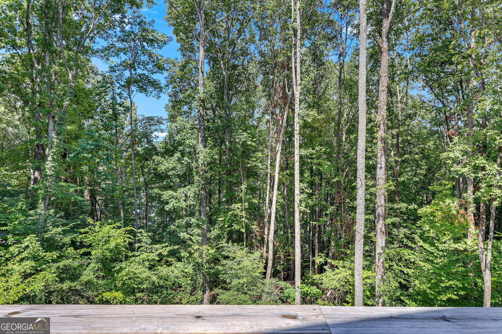 3114 Lake Ranch Drive Gainesville - 41