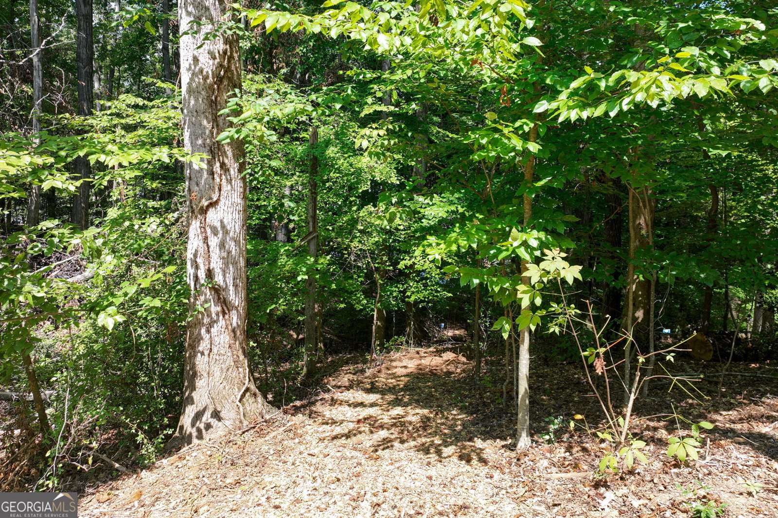 3114 Lake Ranch Drive Gainesville - 47