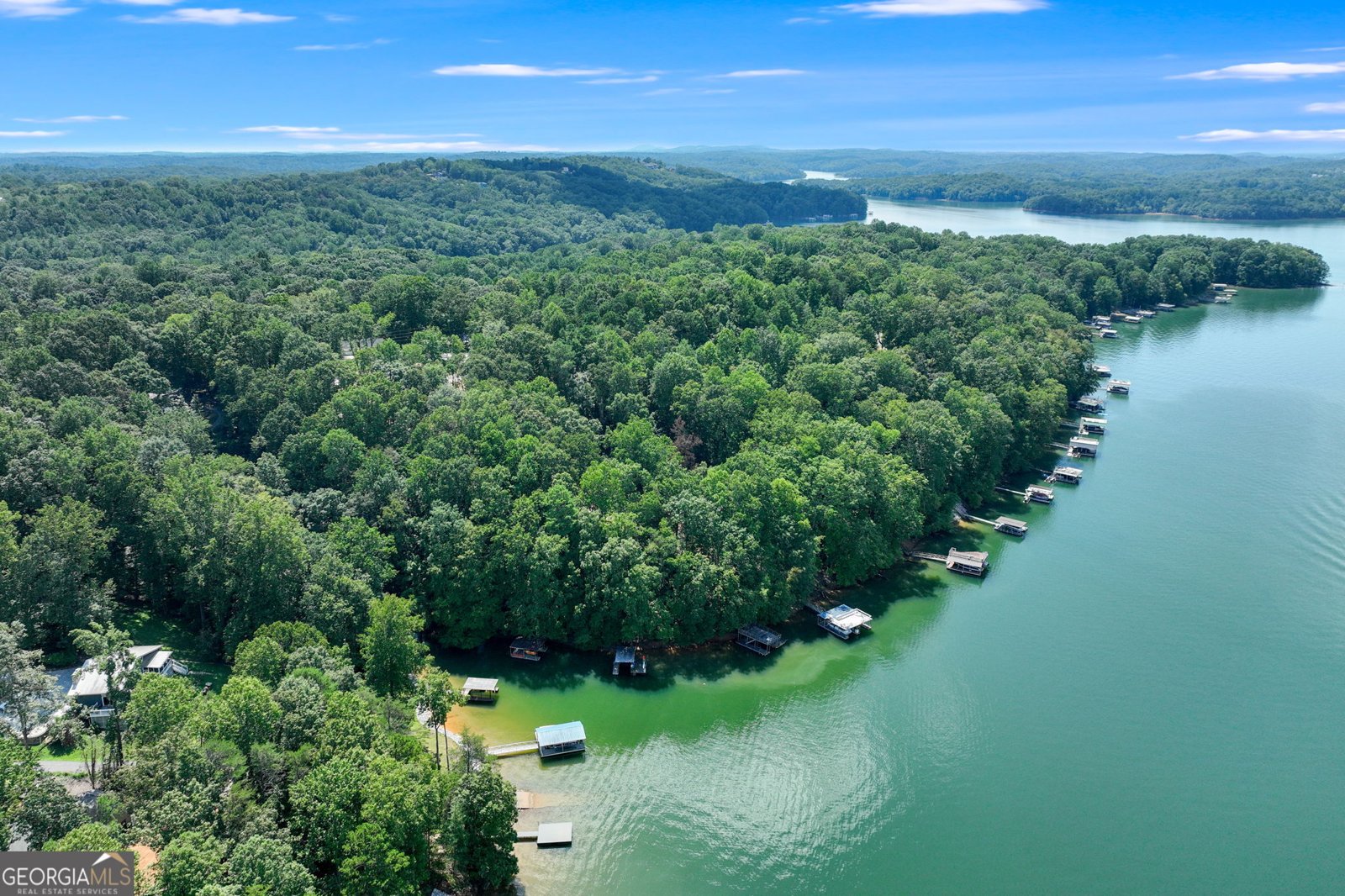 3114 Lake Ranch Drive Gainesville - 51
