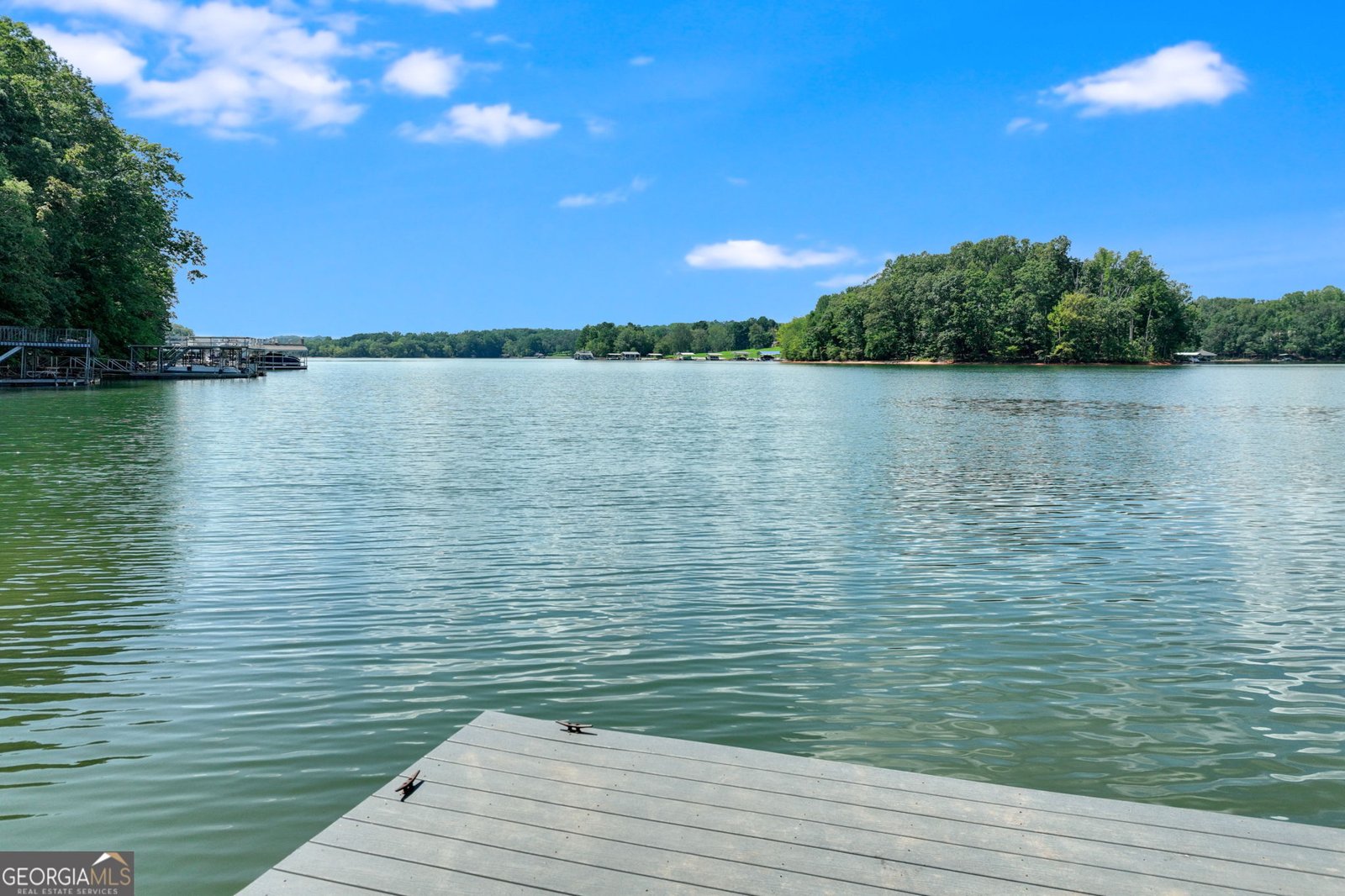 3114 Lake Ranch Drive Gainesville - 55