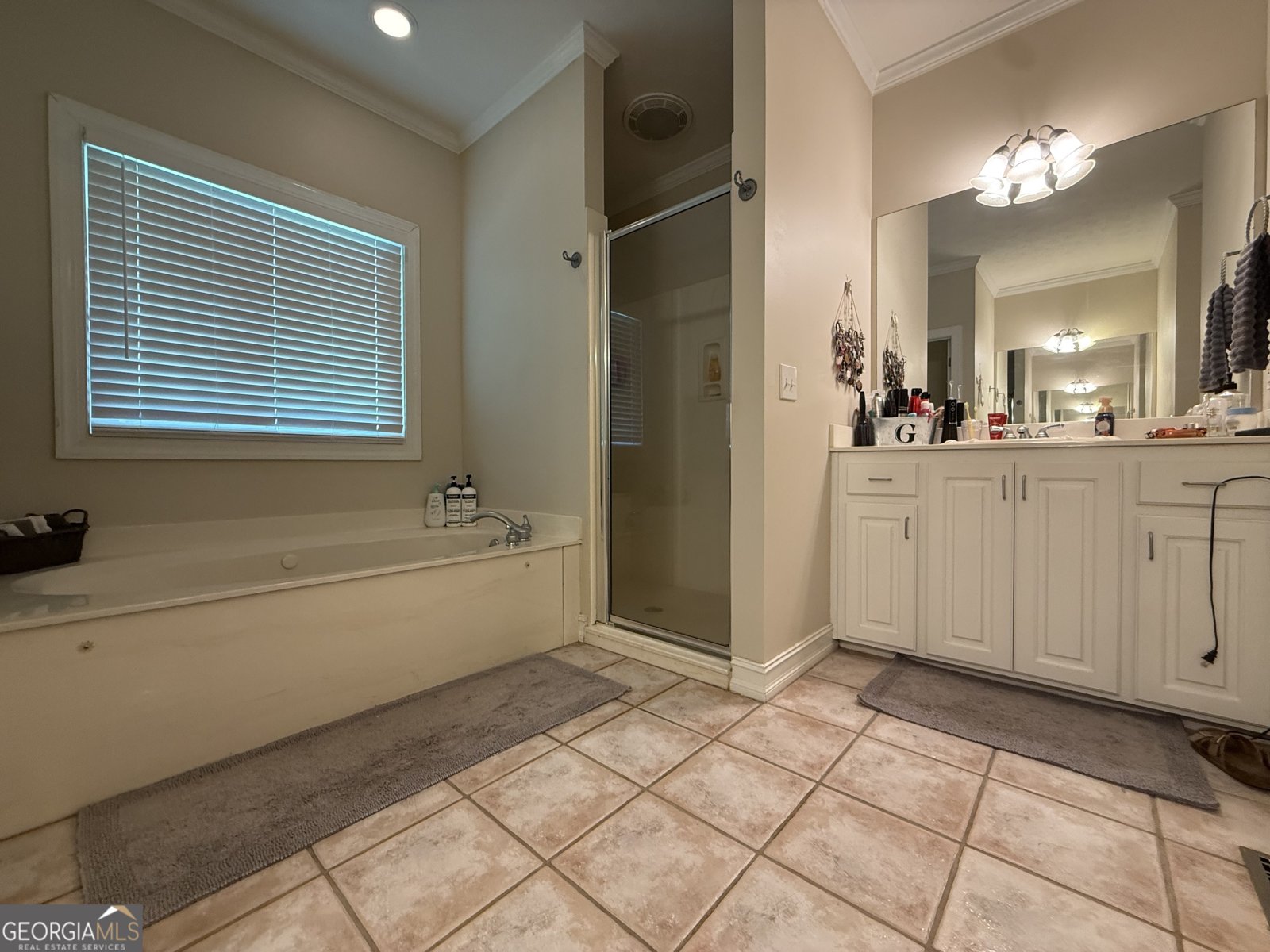231 N Lakeshore Dr Carrollton - 15